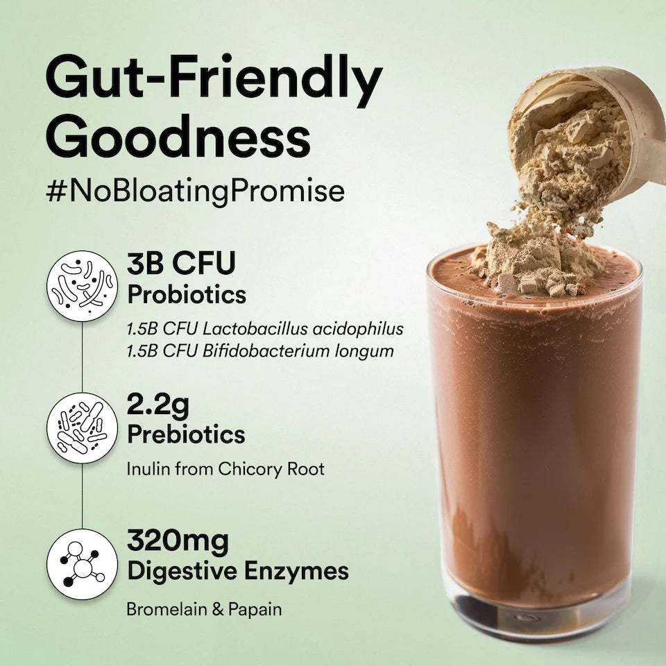 Protein Powder | Plant Protein - Belgian Dark Chocolate – 22gm Plant Protein – Vegan, Gluten Free, Dairy Free & Non GMO – Wellbeing Nutrition – (15 Serving) – 500gm
