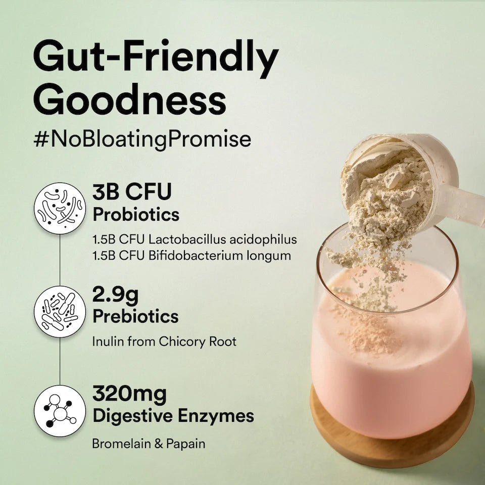 Protein Powder | Plant Protein – Canadian Mixed Berry - 22gm Plant Protein – Vegan, Gluten Free, Dairy Free & Non GMO – Wellbeing Nutrition – (15 Serving) – 500gm