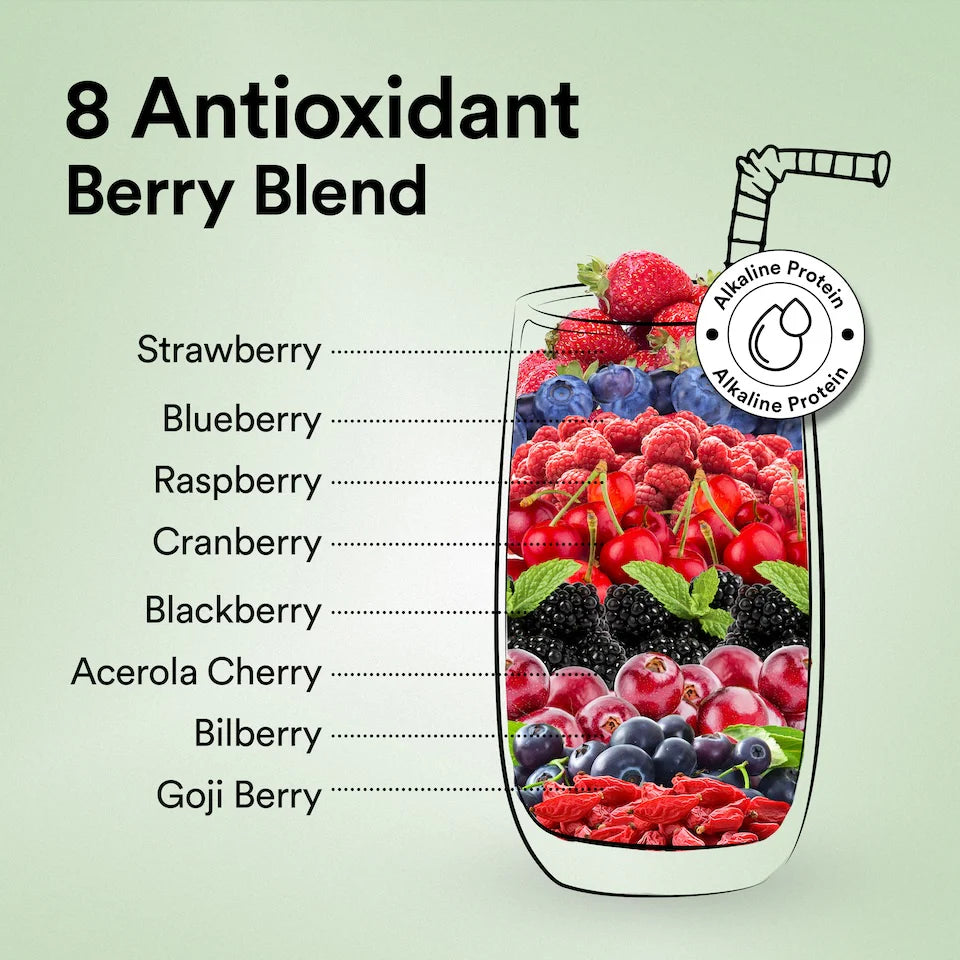 Protein Powder | Plant Protein – Canadian Mixed Berry - 22gm Plant Protein – Vegan, Gluten Free, Dairy Free & Non GMO – Wellbeing Nutrition – (15 Serving) – 500gm