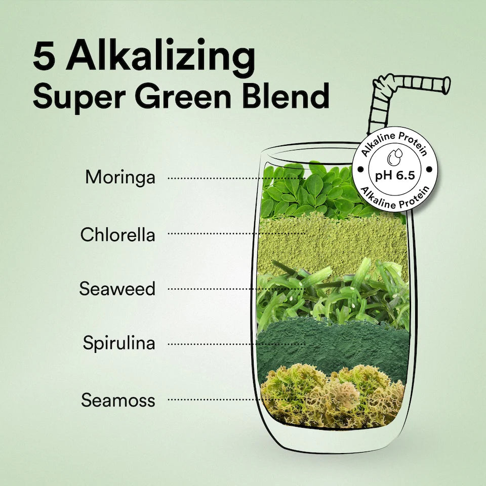 Protein Powder | Superfood Plant Protein – French Vanilla Caramel – Organic - Vegan, Gluten Free, Sugar Free & Dairy Free – Wellbeing Nutrition – 500gm