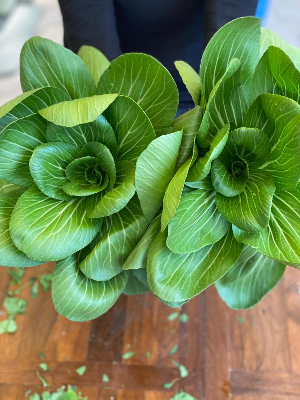 Pok Choy (Sonipat) | Beneficial For Heart, Bone & Thyroid Function - Certified Organic
