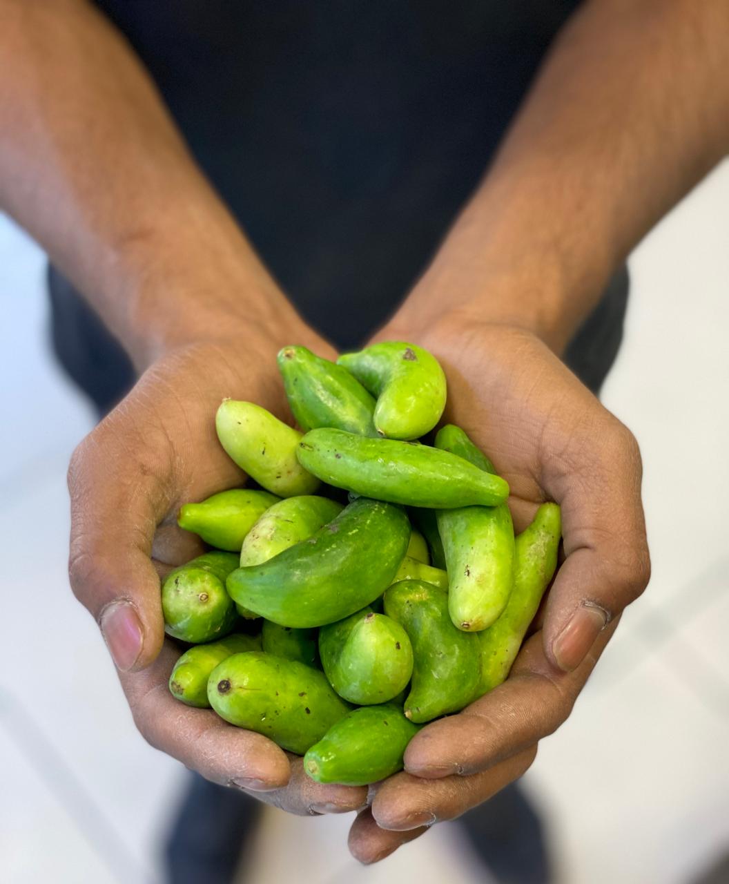 Kundru (Ivy Gourd) | (Rajasthan) - Reduces Blood Sugar Levels & Prevents Heart Ailments - Organically Grown