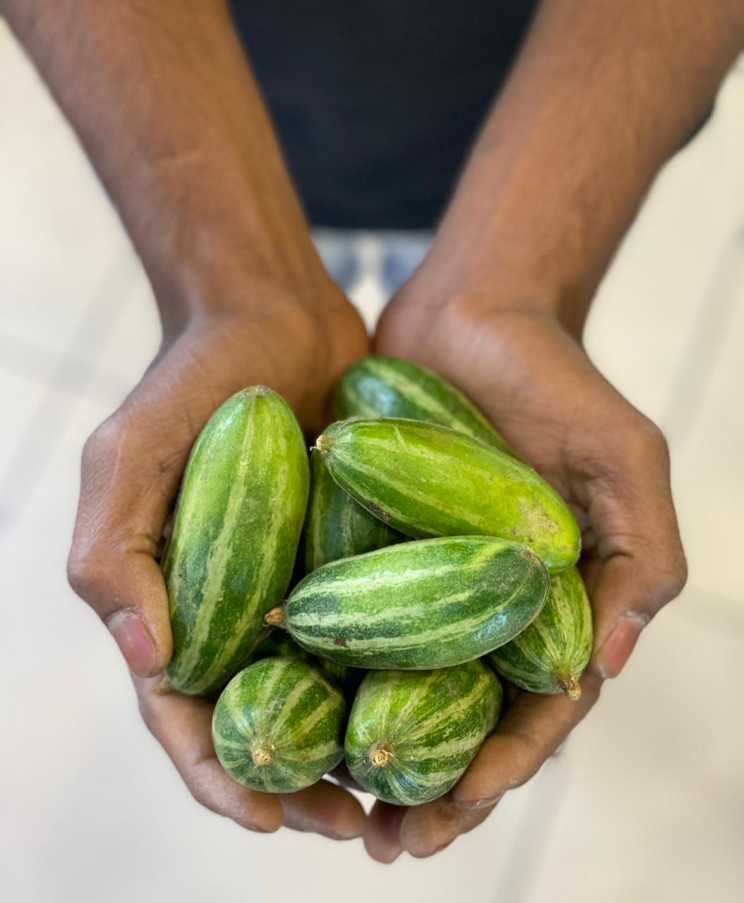 Parmal (Pointed Gourd) | Rajasthan - Low Calorie & Rich in Vitamin C, A, Potassium, Copper & Dietary Fiber - Certified Organic