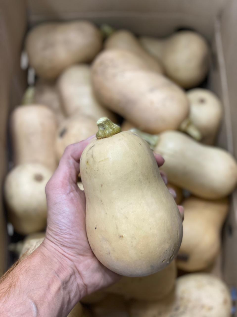 Butternut Squash | Low Calorie & Fibre Rich