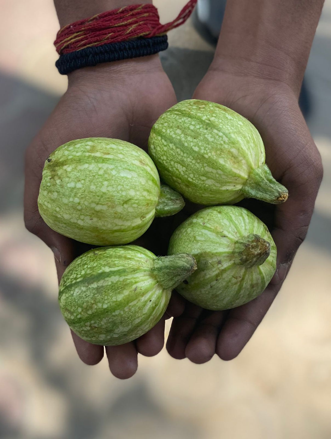 Chappan Kaddu | (Sonipat) - Certified Organic