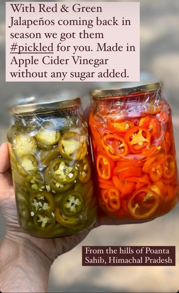 Pickled Jalapeños | In Apple Cider Vinegar - Organic Ingredients - No Added Sugar - Nature&