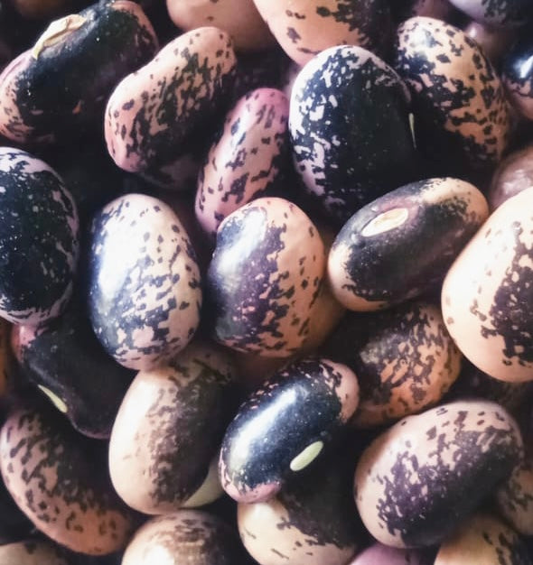 Scarlet Beans | Poo District (Himachal Pradesh) - High Fiber - Nature&