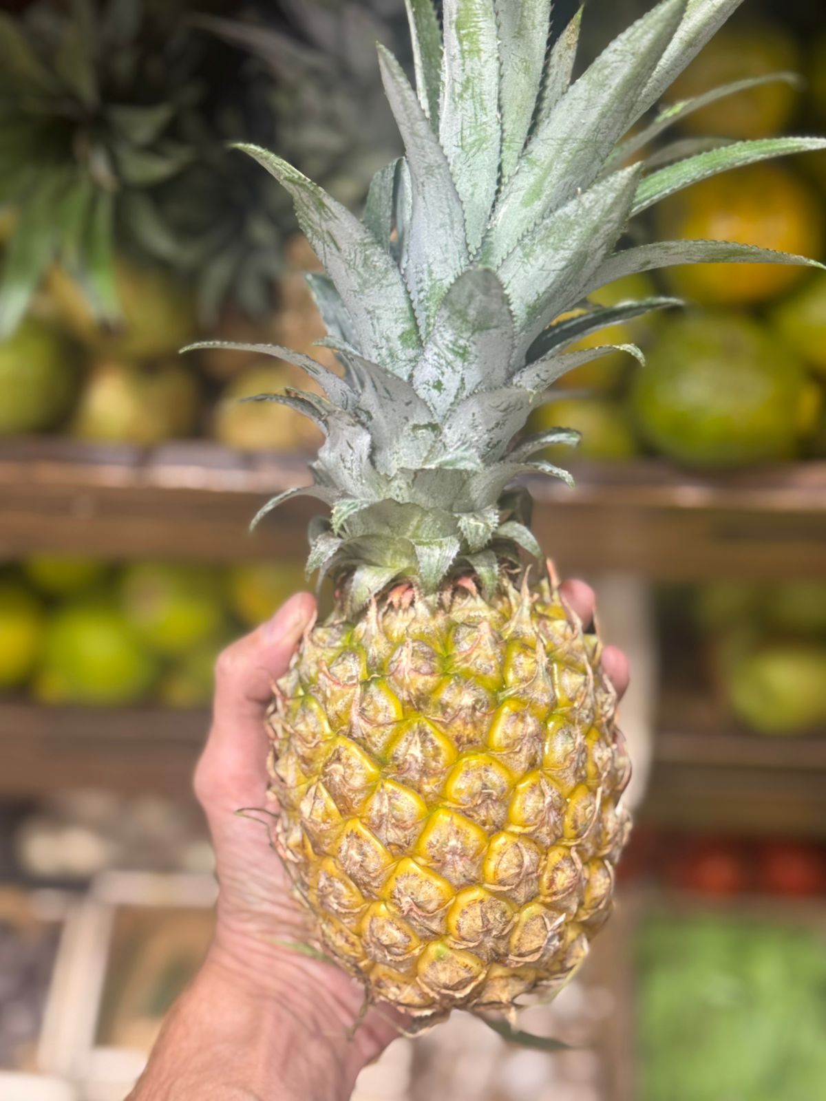 Pineapple | Queen Pineapple (Kerala) - Strengthen Bones, Good For Teeth, Aids In Digestion - Organically Grown - 750gm