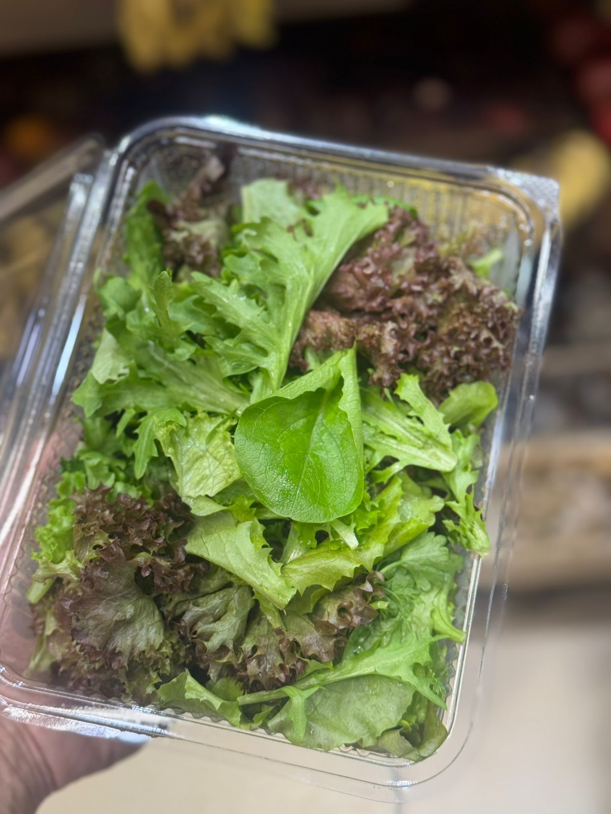 Salad Mix | Mesclun Provencal - No chemicals - No pesticides- Organic - 1 Box
