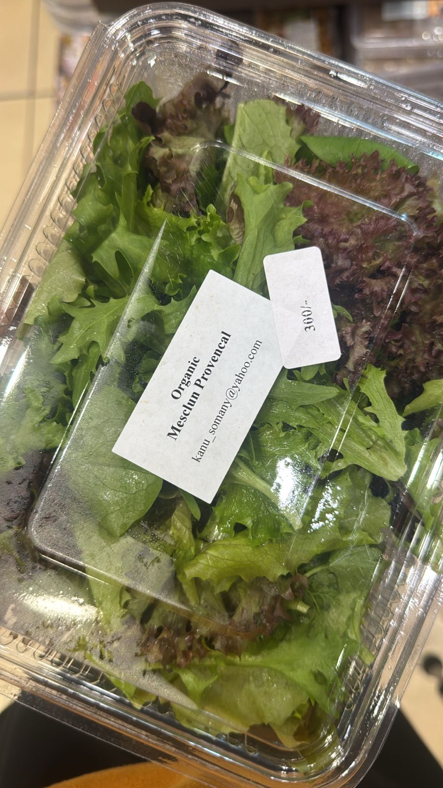 Salad Mix | Mesclun Provencal - No chemicals - No pesticides- Organic - 1 Box