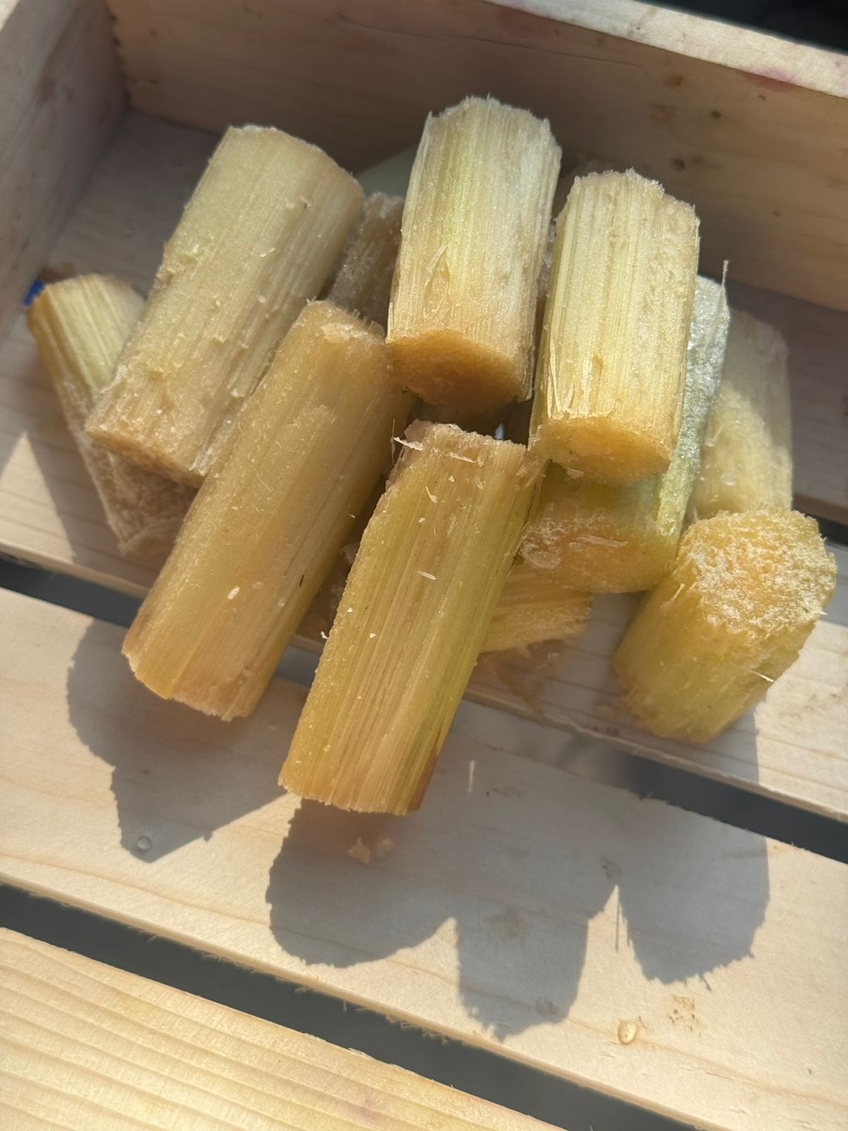 Sugarcane - Saharanpur - Certified Organic - 500gm