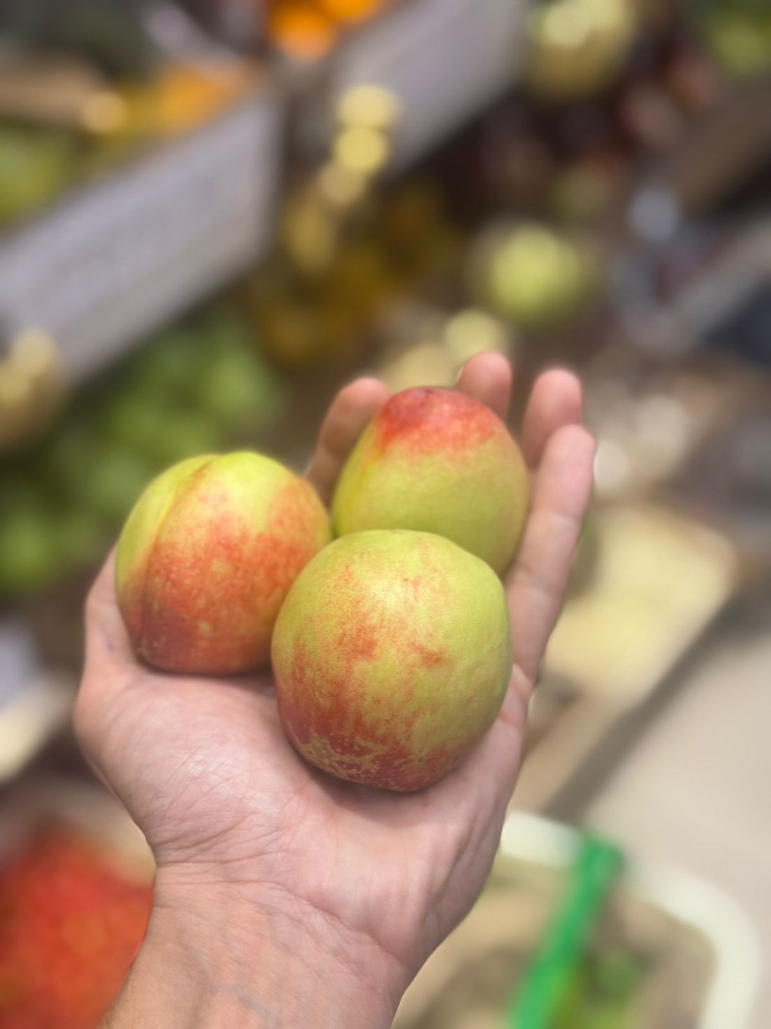 Nectarines | Himachal – Organically Grown