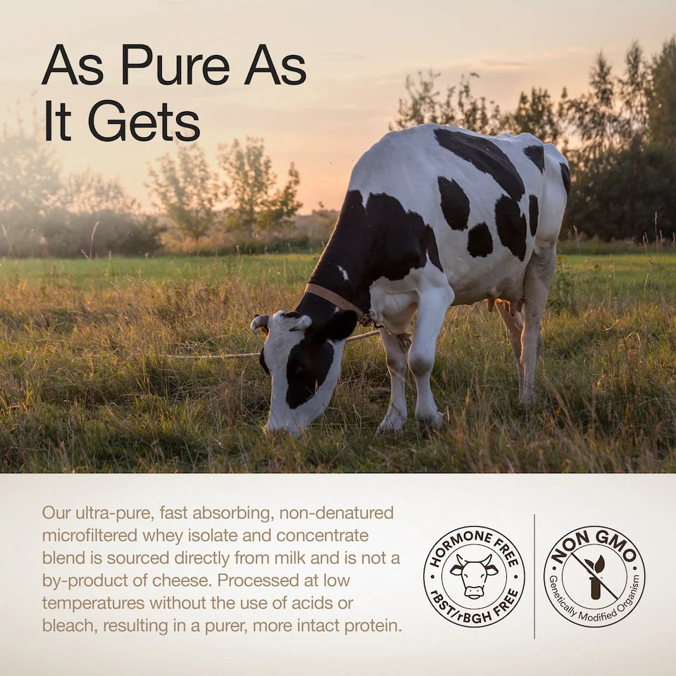 Protein Powder | Whey Protein Isolate + Concentrate 24g (Cappuccino) - Gluten Free, No Gums, Thickner & No Artificial Flavours And Sweetners - Wellbeing Nutrition - 1000gm