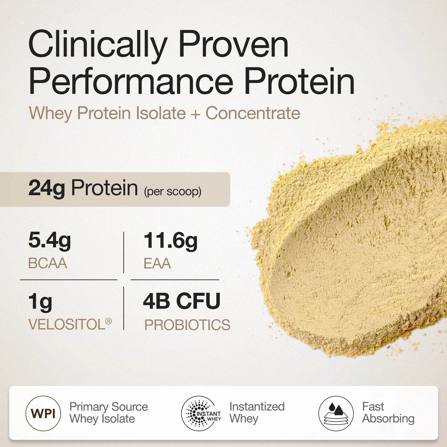 Protein Powder | Whey Protein Isolate + Concentrate 24g - 4B CFU Probiotics (Mango Flavoured) - Gluten Free, No Gums, Thickner & No Artificial Flavours And Sweetners - Wellbeing Nutrition - 1000gm