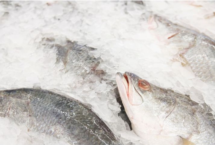 White Snapper - Fillet - Antibiotics And Hormone Free