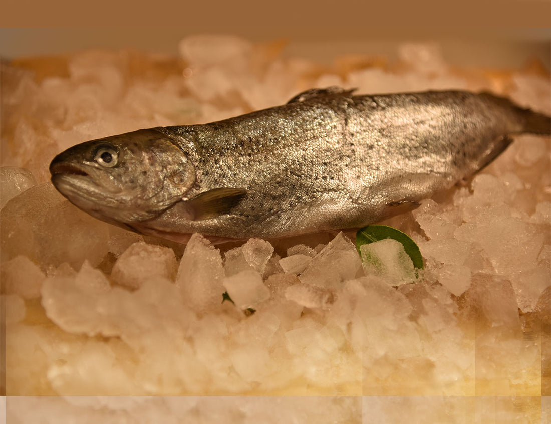 Himalayan Trout – Uttarakhand – Frozen – Antibiotics And Hormone Free – Nature’s Soul – 330gm