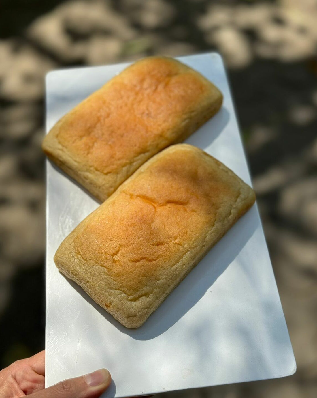 Wholewheat Panini | No Bread Improver, Emulsifiers, Stabiliser, No Preservatives & No Flavour Enhancer Or No Refined Sugar - Nature&