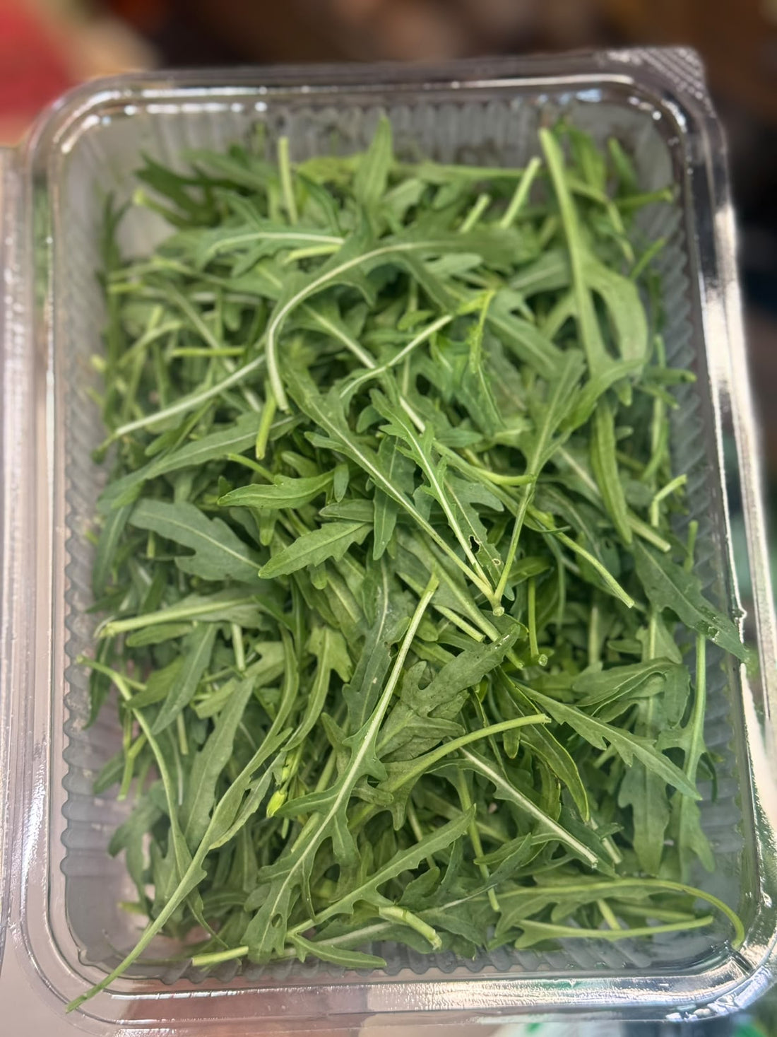 Wild Rocket Arugula | Organically Grown - 1 Box