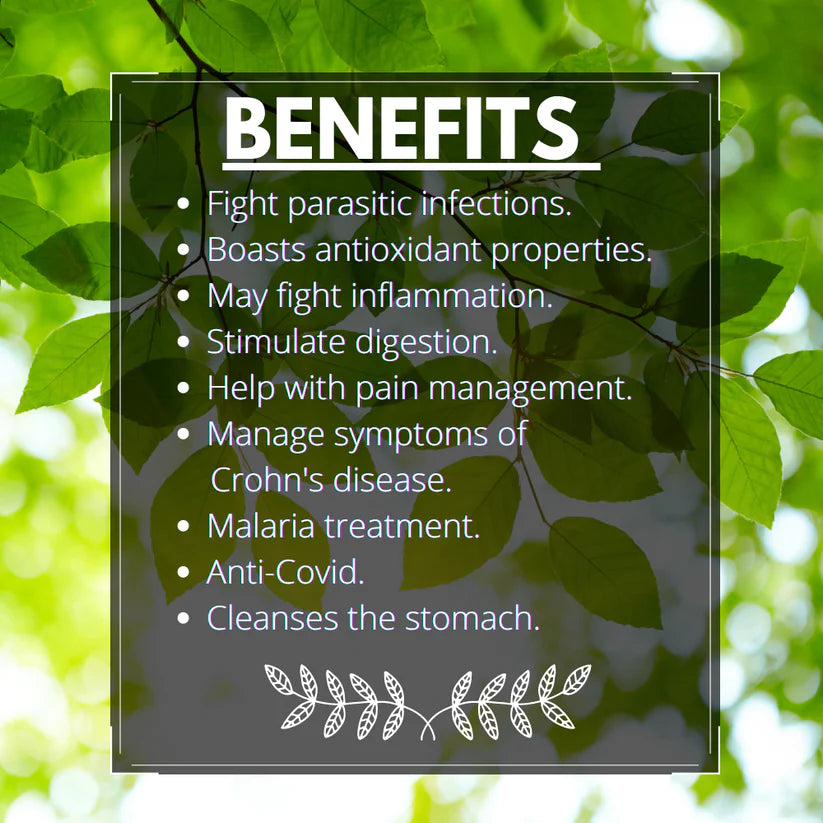 Tea | Wormwood - Dried Cut Herb - Artemisia Absinthium - Himalayan Sourced - Traditional Medicinal Tea - Organic - Anti Viral And Anti Fungal, Caffeine Free & No Added Sugar - Vaastavik - 100gm