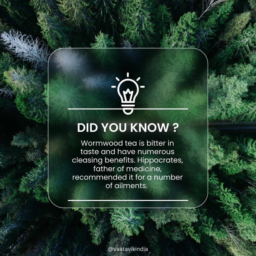 Tea | Wormwood - Dried Cut Herb - Artemisia Absinthium - Himalayan Sourced - Traditional Medicinal Tea - Organic - Anti Viral And Anti Fungal, Caffeine Free & No Added Sugar - Vaastavik - 100gm