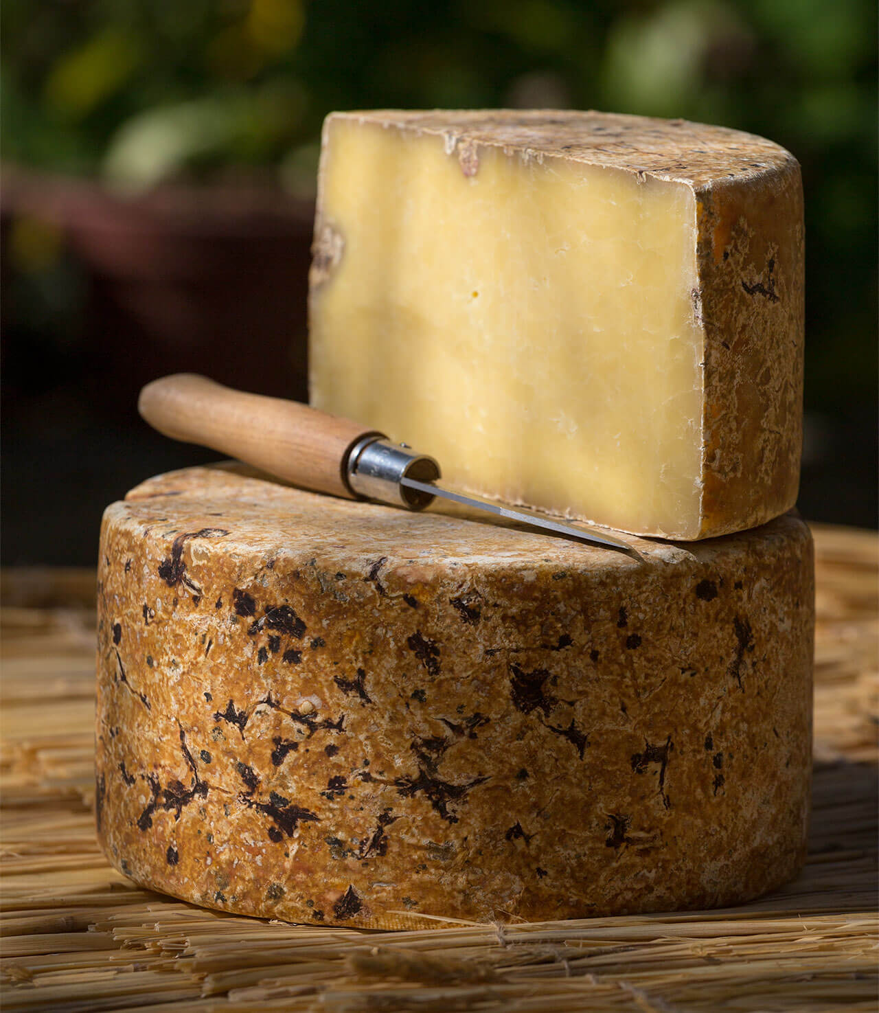 Yak Cheese | Gauri Shankhar - Himalayan French Cheese - 200gm