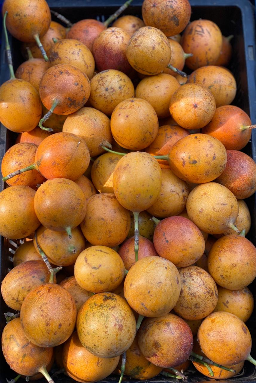 Yellow Passion Fruit (Kerala) – Organically Grown
