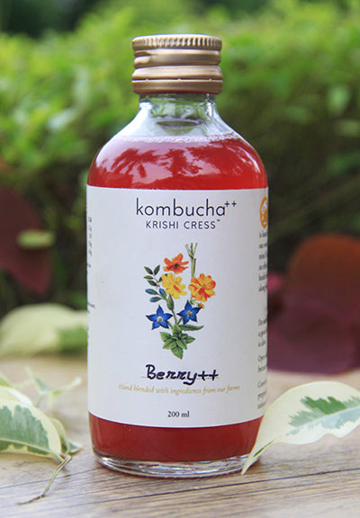 Kombucha Berry - Krishi Cress - 200ml