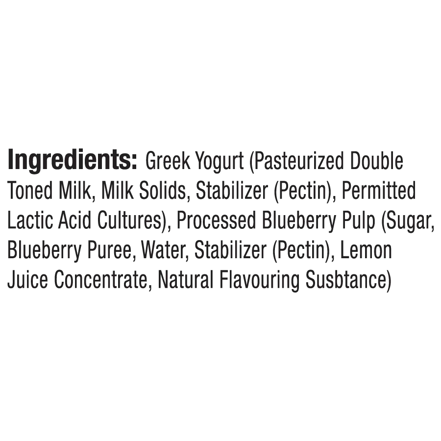 Yogurt | Blueberry Greek Yogurt - High In Protein & No Added Preservatives – Epigamia - 85gm