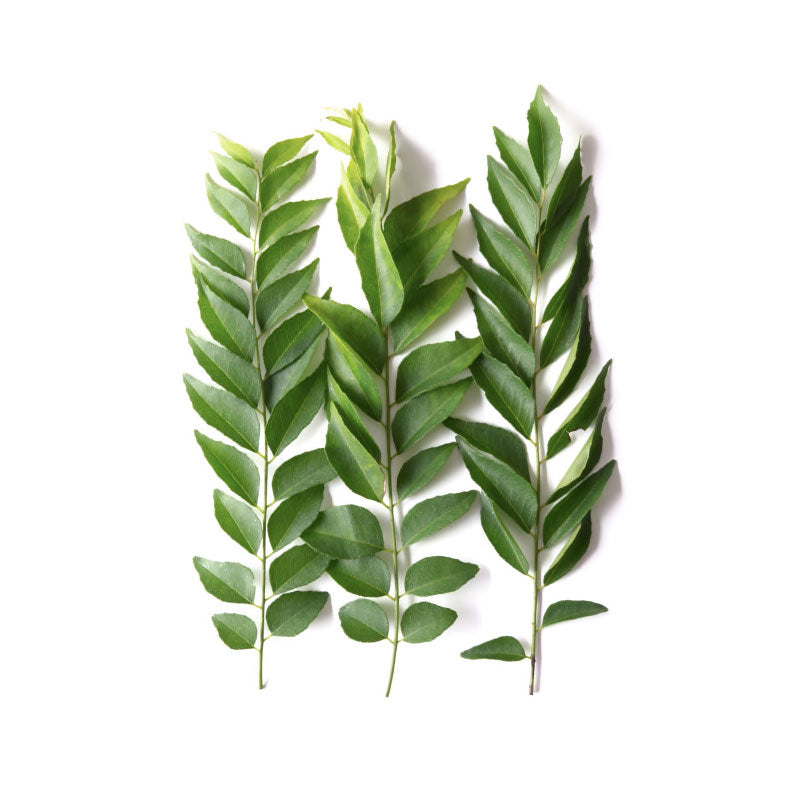 Curry Leaves | (Delhi) - Certified Organic