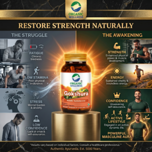 Gokshura (Boosts Testosterone) -Hormonal Balance, Vitality Enhancement, Renal Support-No Artificial Additives- Organic Wellness - 90 Vegetarian Capsules