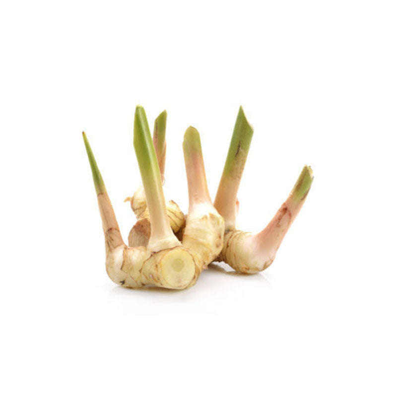 Galangal - Fresh Thai Ginger