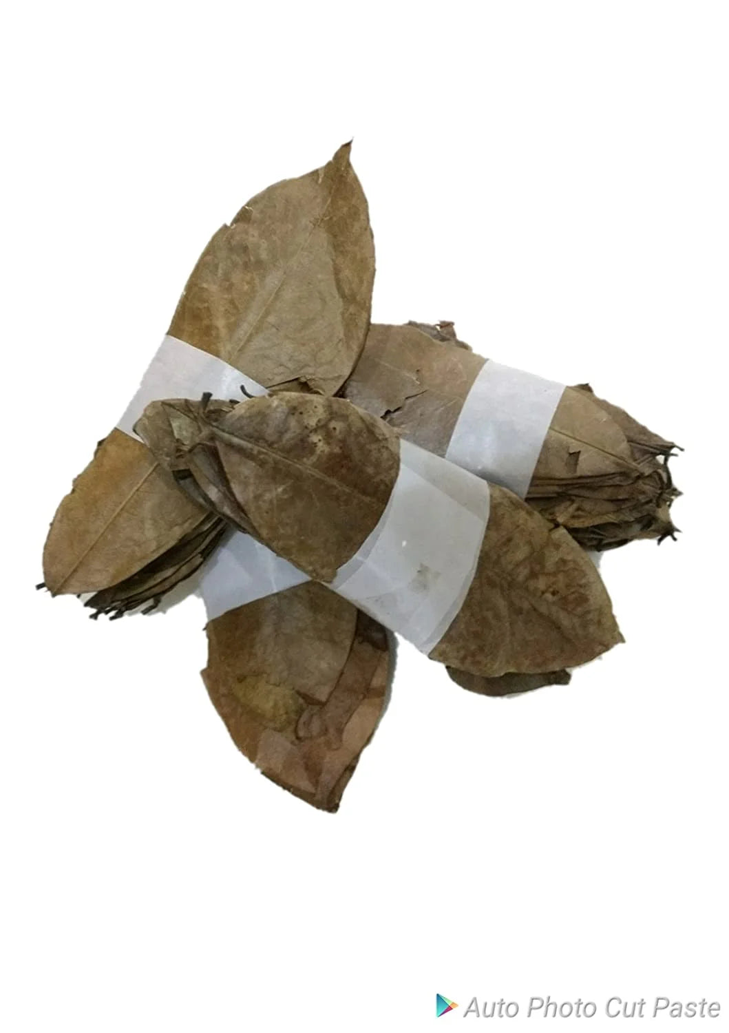 Dry Leaves | Soursop Dry Leaves – Graviola – Guyobana – Laxman Phal leaves – No Additives & No Added Preservatives – BourNeel’s – 250 Dry Leaves