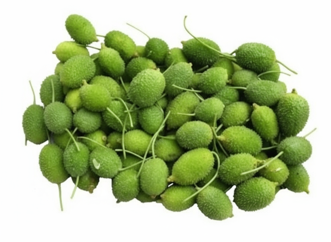 Kakrol | (Spiny Gourd) - Organically Grown