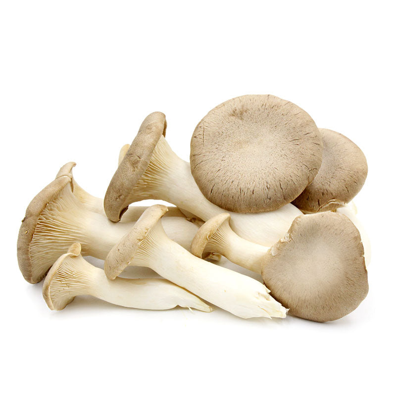 King Oyster Mushrooms | Good Source Of Riboflavin, Niacin, Pantothenic Acid, Phosphorus, Potassium, Copper & Dietary Fiber - Organically Grown