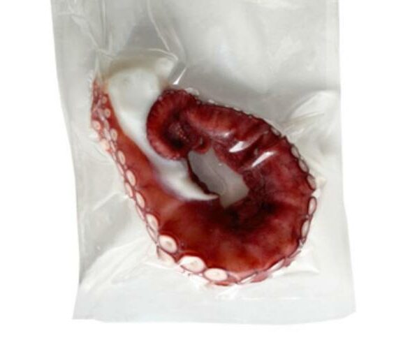 Octopus Arms | Frozen - Nature&