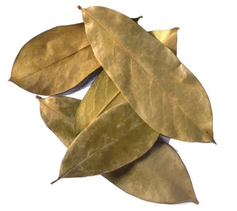 Dry Leaves | Soursop Dry Leaves – Graviola – Guyobana – Laxman Phal leaves – No Additives & No Added Preservatives – BourNeel’s – 250 Dry Leaves