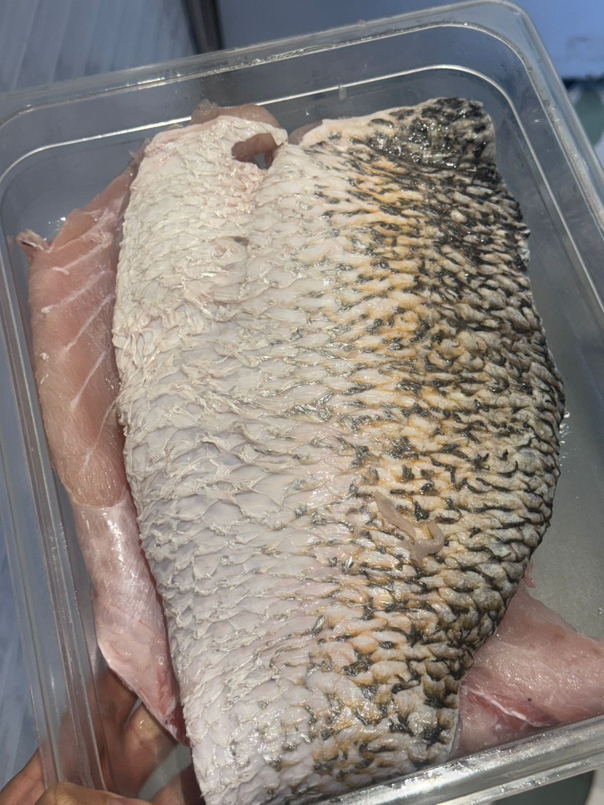 Fresh Sea Bass | Fresh Bhetki Fish Fillet - Arabian Sea - No Antibiotics And Hormone Free - Nature’s Soul