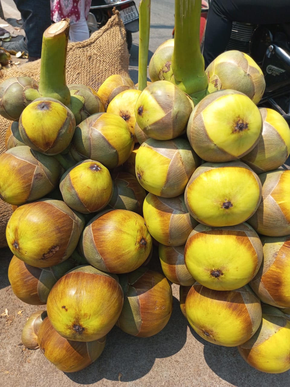 Fresh Ice Apple (Tadgola) - Cut From Top - Set Of 5 Piece