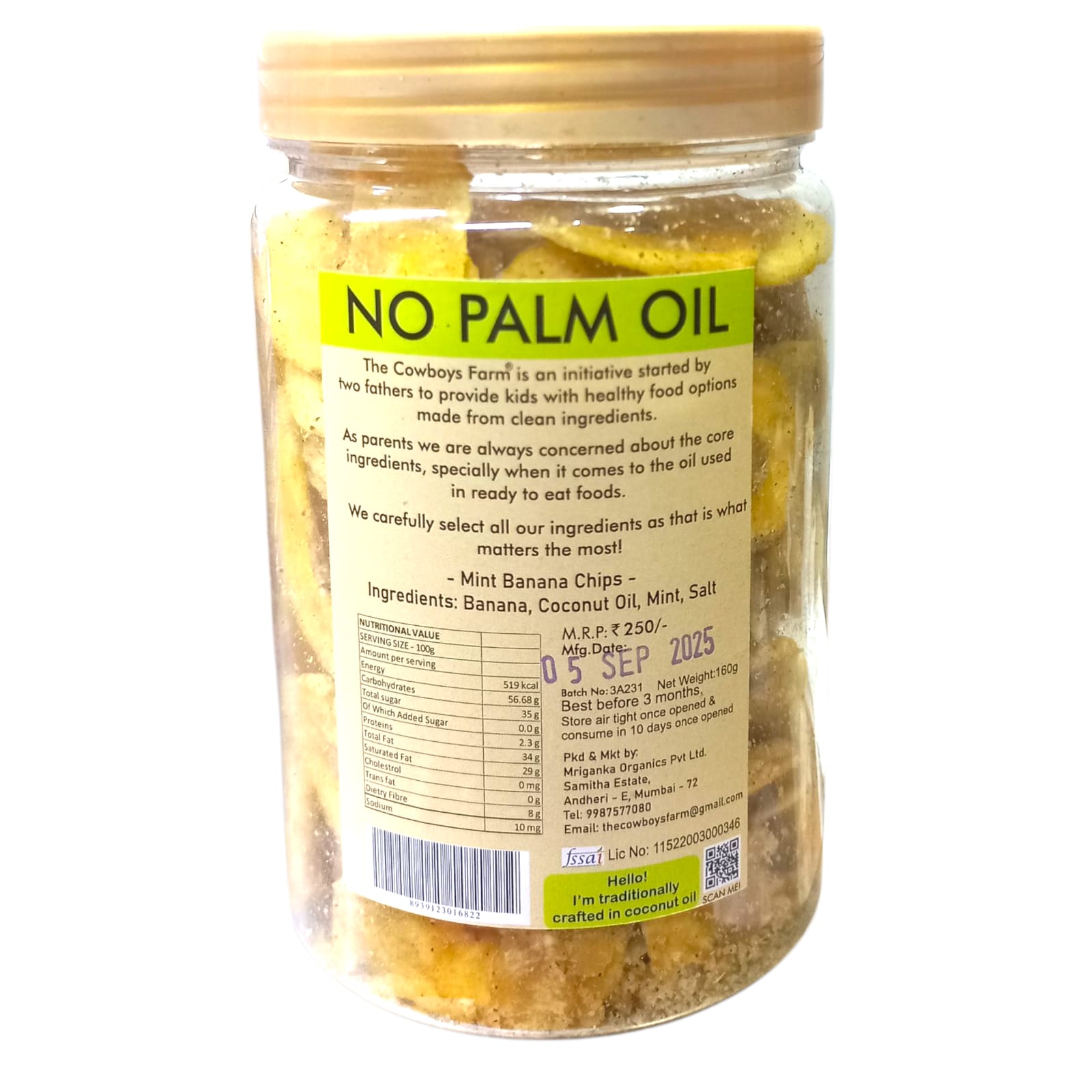 Banana Chips | (Mint/Phudhina) - 100% Plant Based - No Onion, No Garlic & No Added Preservatives - The Cow Boys Farm – 160gm