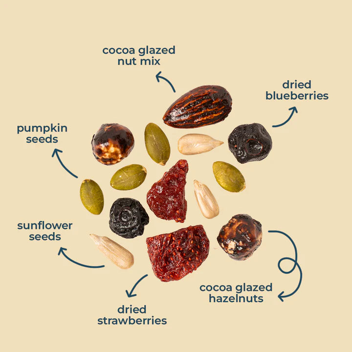 Nut Mix | Maple Cocoa Glazed Nut Mix (Hazelnuts, Almonds, Dried Strawberry, Dried Blueberry, Pumpkin & Sunflower Seeds)- All Natural, Plant Based – Vegan, Gluten Free,- Non GMO & No Added Artificial Flavor – natch – 120gm