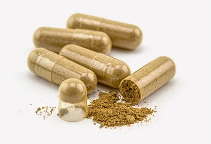 Soursop Capsules | Ayurvedic -100% Natural – No Additives & No Added Preservatives – BourNeel’s – 60 Capsules