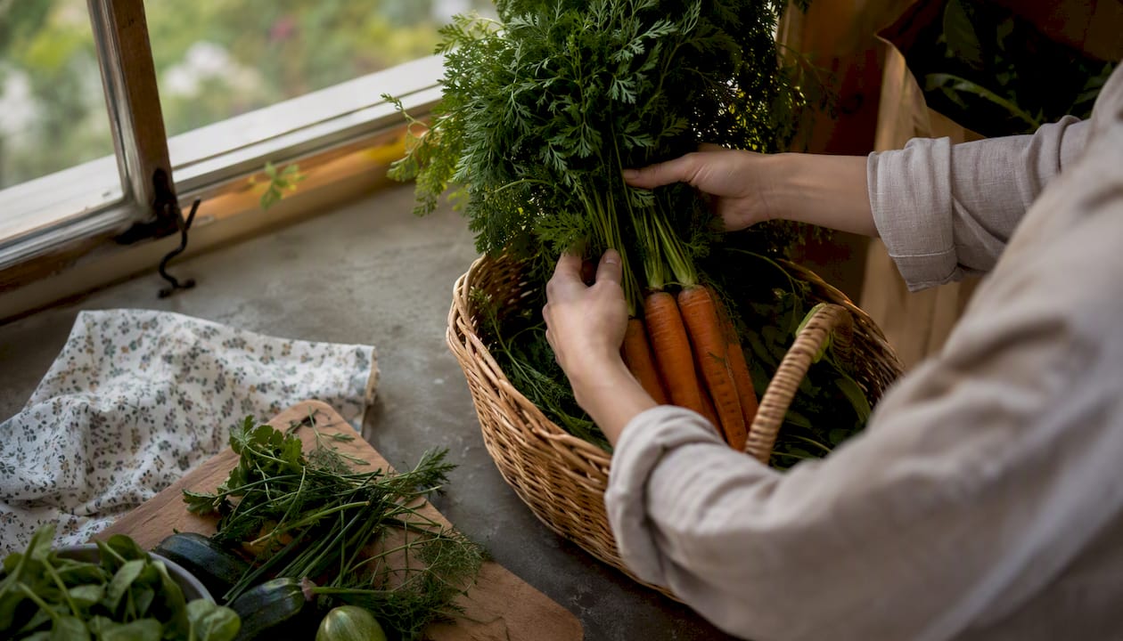 Hand placing fresh organic carrots in crate