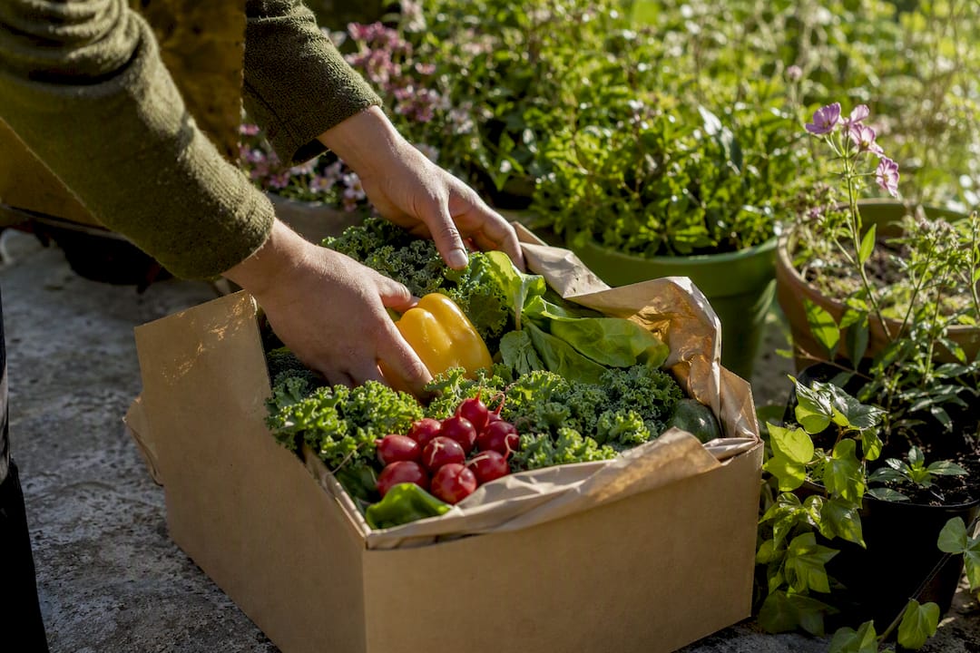 Hands unpacking fresh vegetable box on doorstep