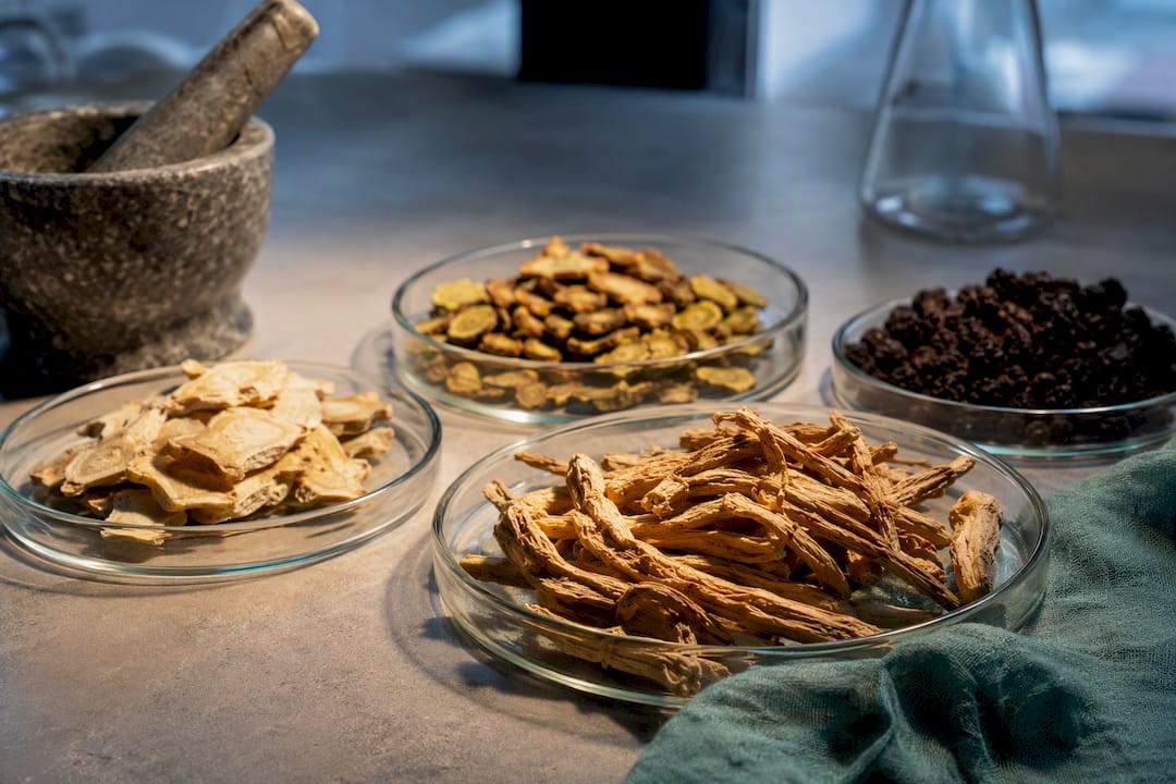 Adaptogenic herbs arranged for close study