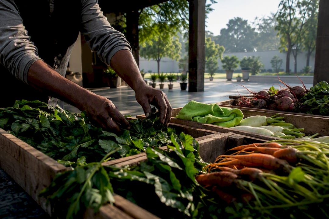 Fresh local vegetables at a farm pickup