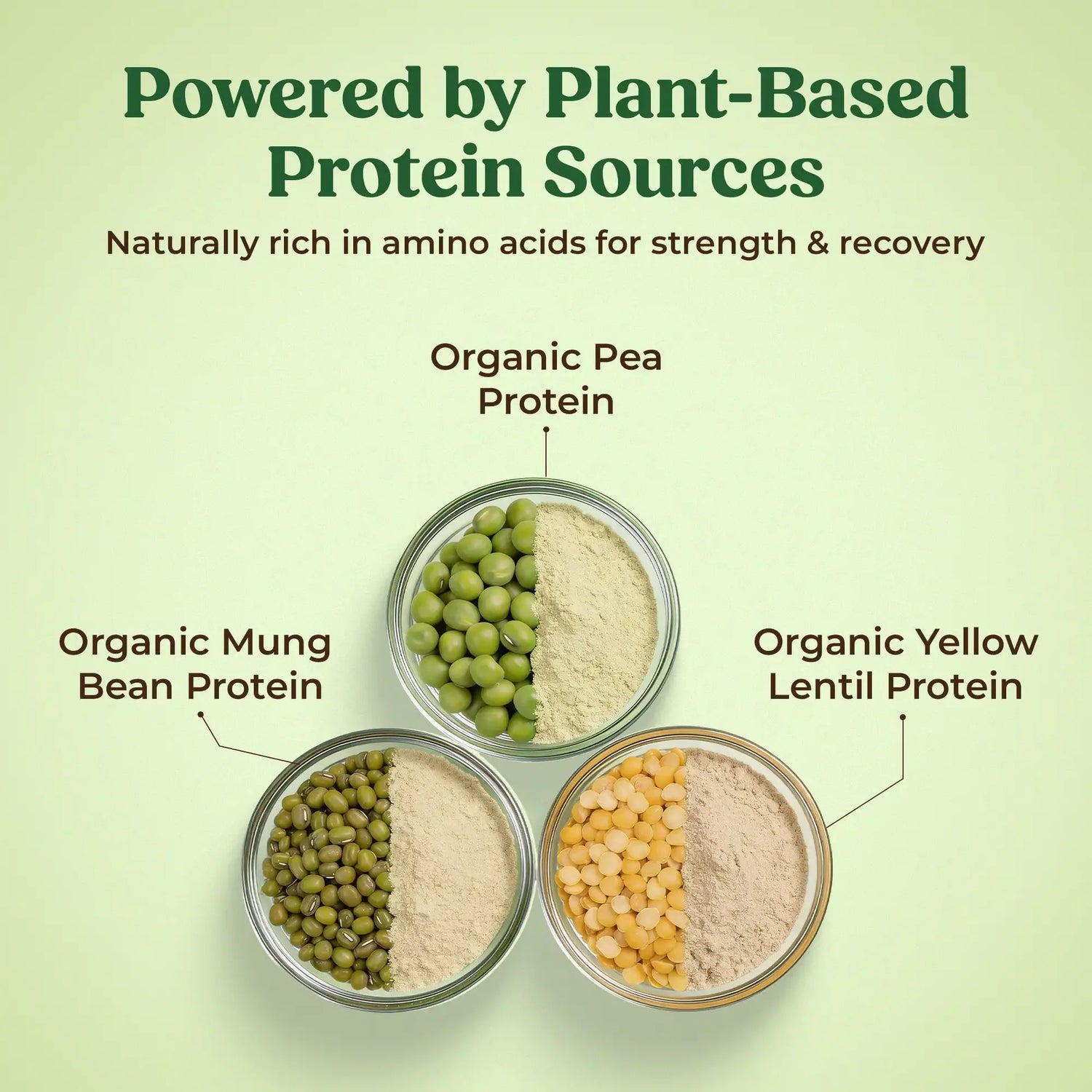 Protein Powder | Organic Plant-Based Protein Powder (Chocolate) - 28g Plant Protein -USDA Organic - Vegan, Gluten Free &amp; Dairy Free - Orgaheal - 980gm