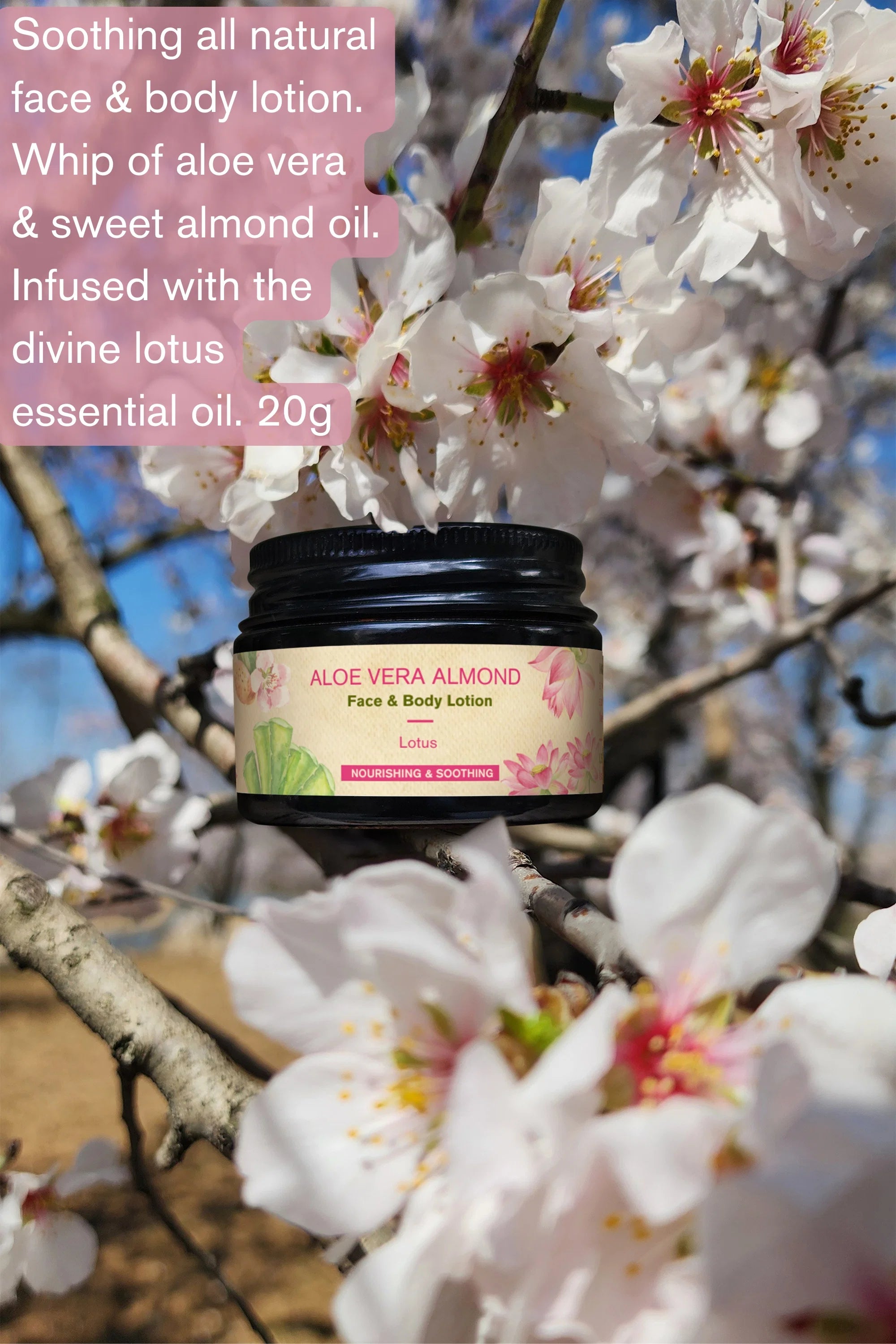 Lotion | Aloe Vera Almond Face &amp; Body Lotion (Lotus)– Nourishing &amp; Soothing  – The Nature Mill – 50gm