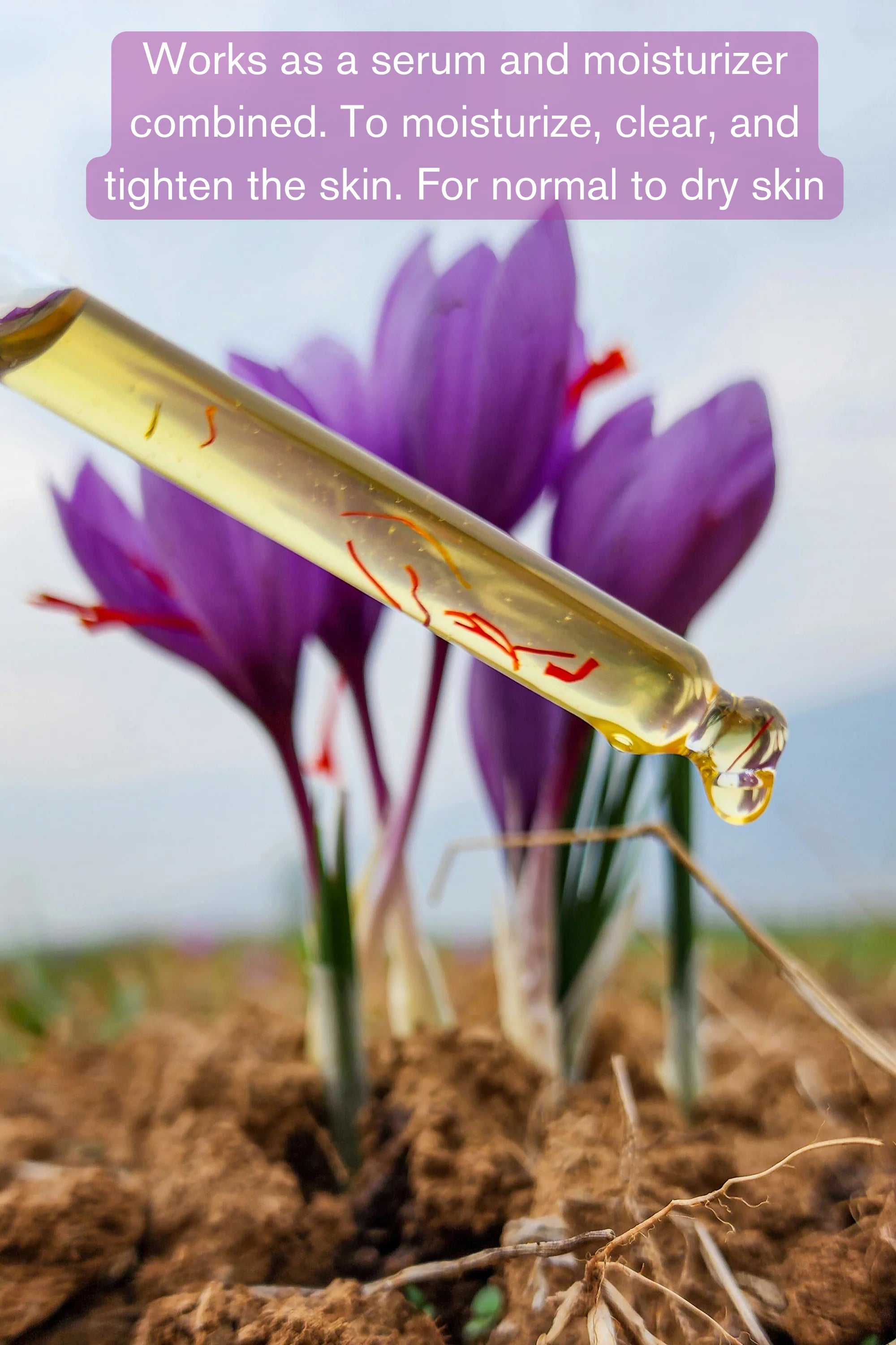 Oil | Almond Saffron Face Radiance Oil (Rose) - Normal To Oily Skin - The Nature Mill – 15ml