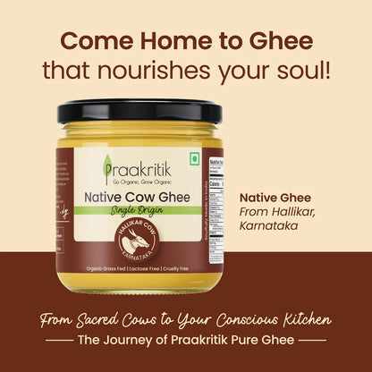 Ghee | Native Hallikar  Cow Ghee (Single Origin) - Hallikar Cow (Karnataka) - Organic Grass Fed, Lactose Free, Cruelty Free - Praakritik - 500ml