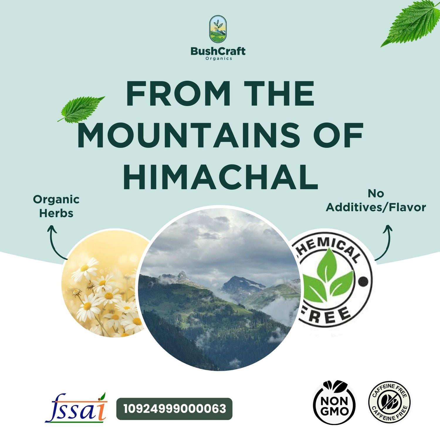Chamomile Herbal Drops (Flower Extract) - Supports Relaxation and Calmness -No Added Sugar, No Alcohol, No Artificial Additives - Bushcraft- 30ml
